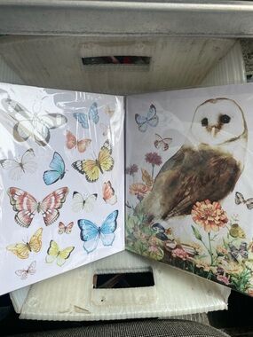 Bird and Butterfly Decorative Canvas Set